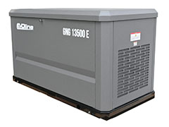 Генераторы газовые Evoline